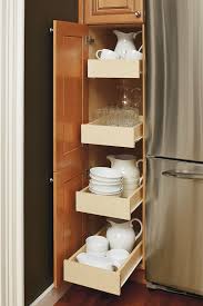 Organization And Accessibility Are Key In The Kitchen And The Tall Cabinet With Sliding Shelves Is A Good Wa Sliding Shelves Tall Cabinet Thomasville Cabinetry