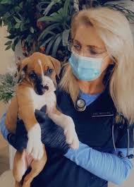 Lifeline animal project can now be your regular veterinarian for your furry. About Us Veterinary Out Patient Clinic