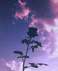 Wallpaper aesthetic galaxy wallpaper wallpaper cantik iphone wallpaper iphone ungu. Wallpaper Aesthetic Ungu Wallpaper Aesthetic Facebook