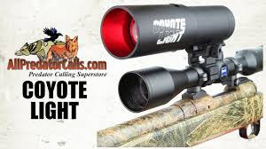Coyote Light Night Hunting Light For Hogs And Predators Youtube Using the best hunting lights can make your life easier when you're hunting varmint. coyote light night hunting light for hogs and predators