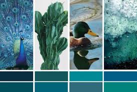 La Couleur De L Annee Bleu Paon Ou Bleu Canard Turbulences Deco Nuancier Bleu Peinture Bleu Couleur De L Annee