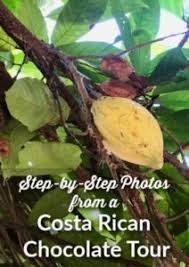How To Make Chocolate In Costa Rica Chocolate Tour Costa Rica Tour How To Make Chocolate