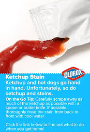 If any stain remains, mix a poultice of water, mild bleach, and a powdered detergent and apply to the stained area. 10 Mystains Ideas Laundry Hacks Clorox Stain Remover