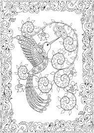 Coloring page with bird rhinoceros, hummingbird and exotic bird, floral seamless pattern. Humming Bird Birds Adult Coloring Pages