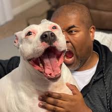 And she wonders why people are running from Star Wars.