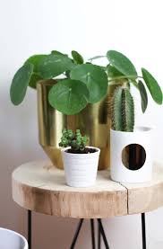 Schöne und günstige idee für den garten und ganz leicht zu basteln. 7 Gunstige Dekoideen Fur Dein Zuhause Provinzkindchen