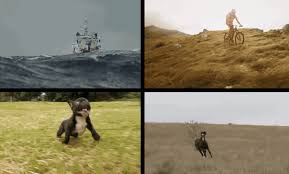 Nonetheless, it announced in july that it would bring its controversial joe camel ad campaign to end. Qaamfz5wzcb2hm