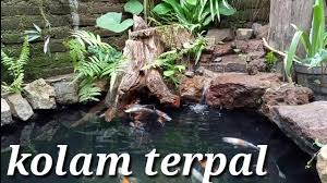 Seperti yang sudah dibahas sebelumnya, pembuatan kolam ikan dengan menggunakan material batu alam bisa juga dilakukan tanpa menggeruk bagian tanah. Cara Membuat Kolam Koi Alami Dari Terpal Geomembran Natural Koi Pond Youtube