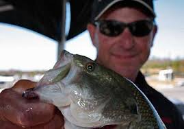 2008 Central Open Day One Weigh-In