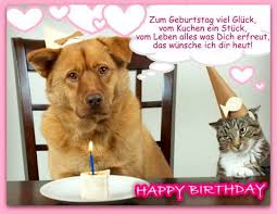 Pin Von Margit Laszlo Hopfner Auf Katzen Hund Geburtstag Geburtstagstiere Alles Gute Zum Geburtstag Zitate Lustig