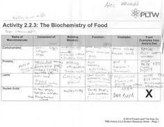 28 best macromolecules images teaching biology biology