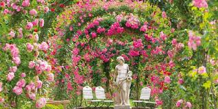 It is a permanent eyeshadow that retails for. Rose Society Garden Garden Your Black Forest Tour Planner
