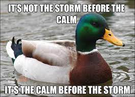 It S Not The Storm Before The Calm It S The Calm Before The Storm Actual Advice Mallard Quickmeme