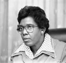 prepared by: with: McCann Adams Studio, Lockwood Andrews & Newnam, Marsh  Darcy Partners and The Working Partner