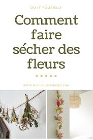 Comment Faire Secher Des Fleurs Et Des Plantes Faire Secher Des Fleurs Comment Faire Un Herbier Faire Un Herbier