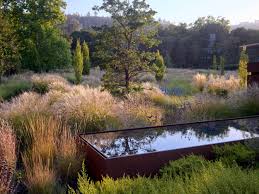 Depth of Field: Exploring Landscape Photography through Design and Light