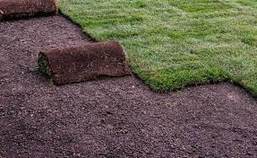 Find and research local psychiatry specialists in lexington, ky. Sod Pallet 50 Grass Rolls Covers 450 Sq Ft Kentucky Lawn Care
