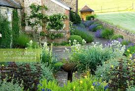 Planting Around Raised Rill Includes Centranthus Ruber Albus White Valerian Heathers Potentilla Deep Brown Lysimachia Cili Private Garden Plants Garden