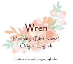 Baby Girl Name Wren Meaning Bird Name Origin English Baby Names And Meanings Baby Girl Names Cute Baby Names