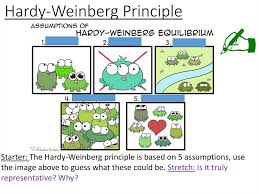 This video serves as an. Evolution Hardy Weinberg Theory Factors That Influence The Frequency Of Genes Online Presentation