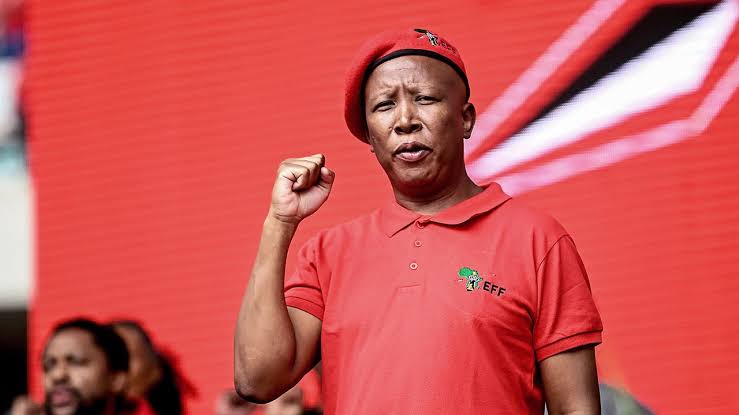 Is Julius Malema the most dangerous man in South Africa?
