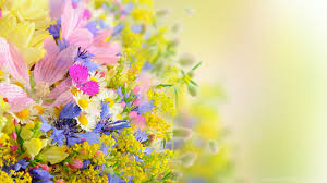 1,063 flower high definition products are offered for sale by suppliers on alibaba.com, of which cctv camera accounts for 1%. Stylish Flowers Wallpaper High Definition Image High Resolution Picture Jpg Desktop Background