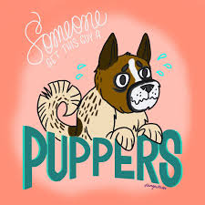 Pet day celebrates the joy that pets bring into peoples lives and encourages people to help reduce the number of animals in shelters. International Dog Day 2019 Gif Dangertam
