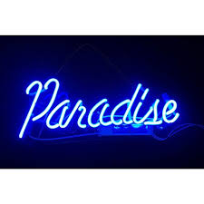 Neon Signs Blue Paradise Beer Bar Bedroom Neon Light Handmade Glass Neon Lights Sign For Bedroom Office Hotel Pub Cafe Recreation Room Wall Decor Night Light 14 X6 Buy Online In El Salvador At The neon signs are handmade. desertcart