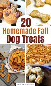 20 Homemade Fall Dog Treats Fall Halloween Treats A Cultivated Nest Healthy Dog Treats Homemade Easy Dog Treat Recipes Pet Treats Recipes