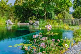 We Have Collected The Best Inspirations For Your Enjoyment Today S Special Mediterranean Flair For Your Home 100 Nat In 2020 Schwimmteich Bio Pool Biopool