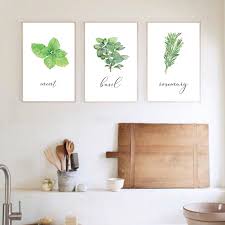 Mint green kitchen wall decor. Watercolor Herbs Basil Mint Posters And Prints Kitchen Decor Green Plant Rosemary Pictures Botanical Wall Art Canvas Painting Painting Calligraphy Aliexpress