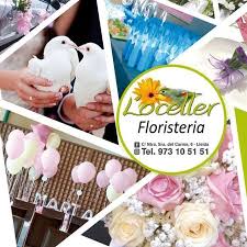 We did not find results for: Oceller Floristeria Y Mascotas Home Facebook