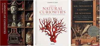 The cabinet of curiosities is synonymous with delight and surprise, with marvels and rare objects, but is the uffizi gallery was itself created as a cabinet of curiosities, that is to say a place of wonders. Three Odd Books Cabinets Of Curiosities Odd Salon