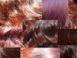 Pin En Henna En Mi Pelo