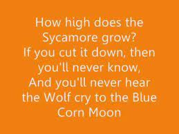 Colors of the wind lyrics. Pocahontas Colors Of The Wind Lyrics Youtube