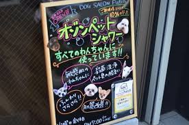 Dog Salon Patch 六甲道 ペット美容室 Goo地図