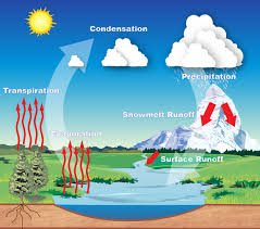 The mass of water on earth remains fairly constant over time but the partitioning of the water into the. Nws Jetstream The Hydrologic Cycle
