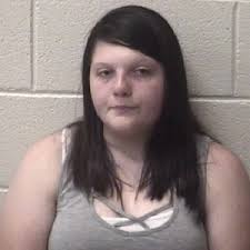 School Board hears three scenarios for new Voting Districts