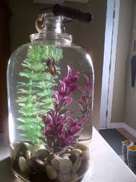 28 Everyday Items Turned Into Fish Tanks And Aquariums Beta Fish Tank Beta Fish Fish Tank