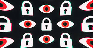 People are searching on the internet for this app. Here S How To Check Your Phone For Pegasus Spyware Using Amnesty S Tool The Verge