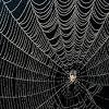 Web.com offers a variety of website solutions designed to help you reach your online marketing goals. 1