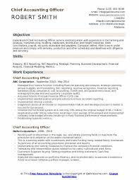 Encourage account manager and officers to bring in new clients. Chief Accounting Officer Resume Samples Qwikresume