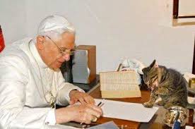 The Pope And His Cat Cats Pope Benedict Xvi Pope Benedict