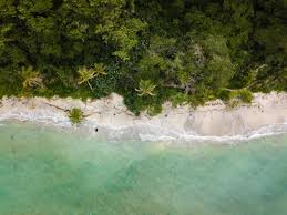 Each beach has its own … 11 Best Things To Do In Costa Rica