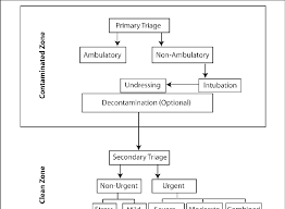 Patient Flow Chart In The Hospitals During A Mass