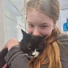 Tears as missing Surrey cat Millie reunited with family after six years