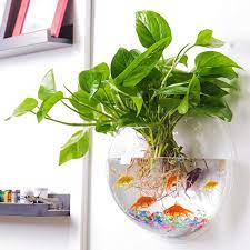 Soil based with lots and lots of stem and floating plants. Amazon Com Outgeek Wall Fish Bubble Wall Hanging Bowl Clear Acrylic Vase Flower Plant Pot Aquarium 9in Pet Supplies