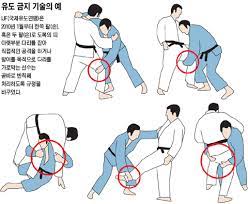 굳히는 동작에 따라 누르기, 꺾기, 조르기 등의 기술이 있어요! ìœ ë„ ë³€ì¹™íƒœí´ ëìž¥