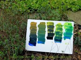 Chamomile can be found all over europe and temperate asia, north america, and australia. Take Care With Your Greens How To Mix Greens In Acrylic Outlines Art Materials