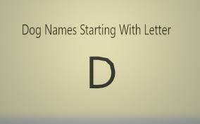 Browse the list of top 100 cute names, including danielle and daisy Extraordinary Dog Names Starting With Letter D Both Male And Female Dogs